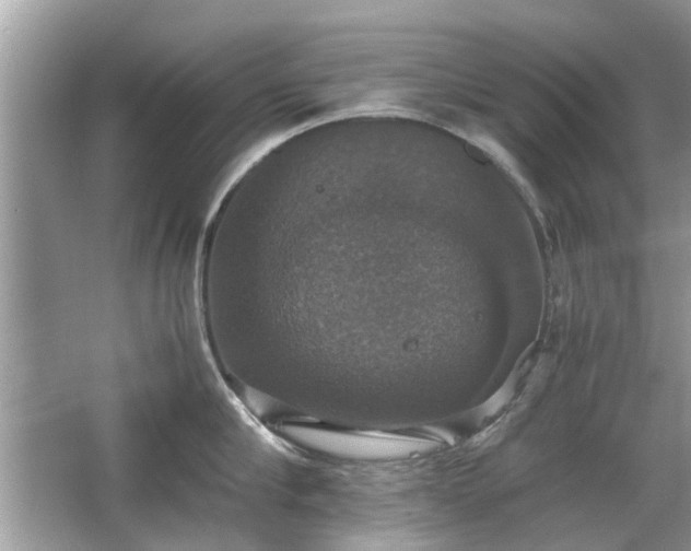 X0000063460910200601231415