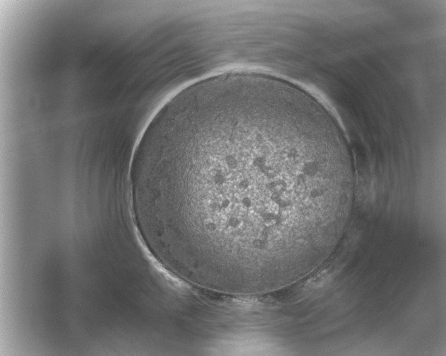 X0000063460911200601231415