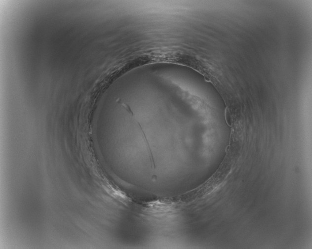 X0000063460913200601231414