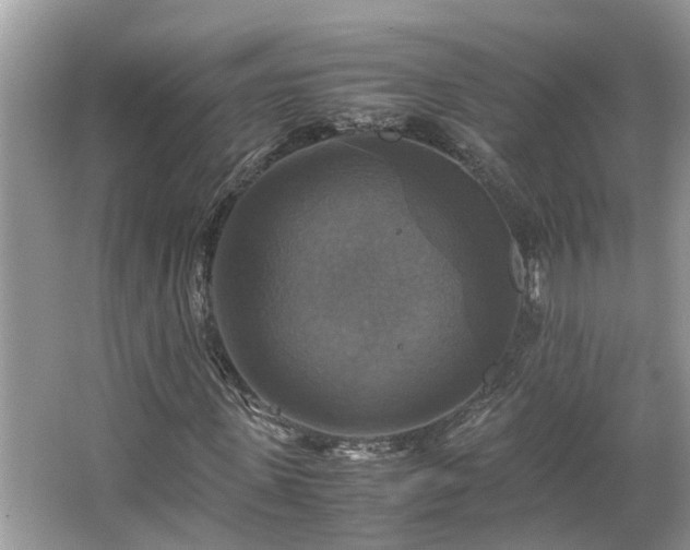 X0000063460915200601231414