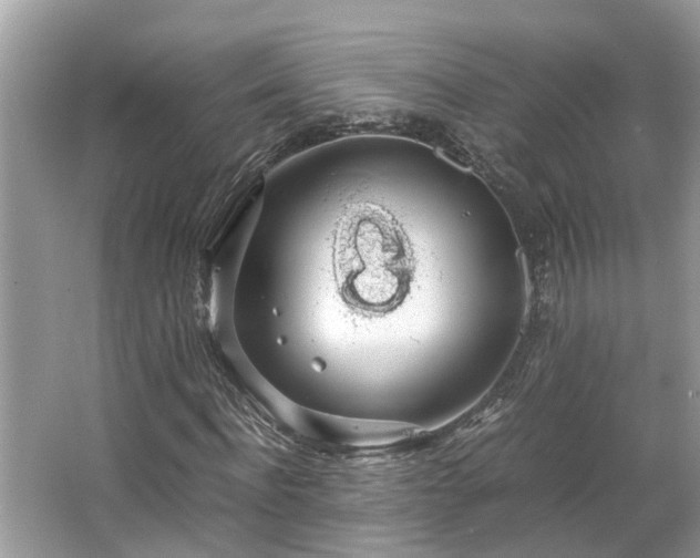 X0000063460916200601231414