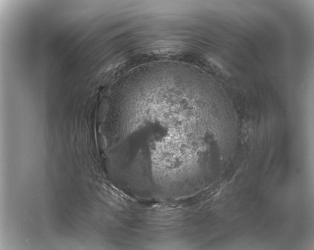 X0000063460917200601231414