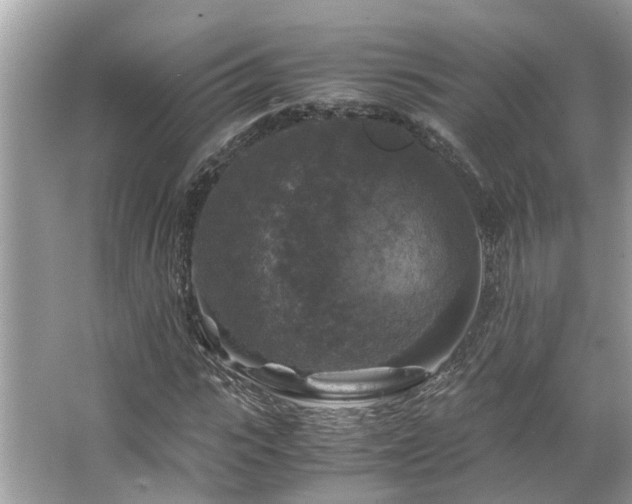 X0000063460919200601231414