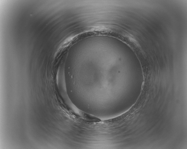 X0000063460920200601231414