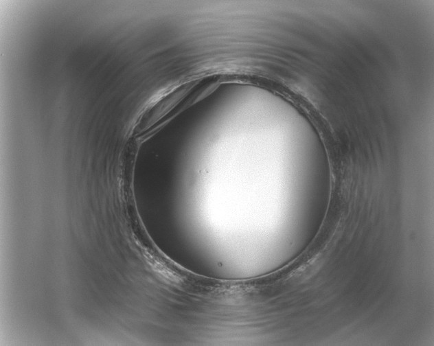 X0000063460922200601231414