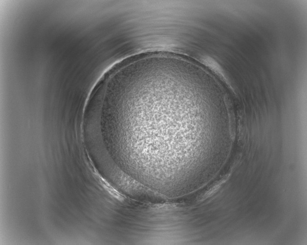 X0000063460924200601231414