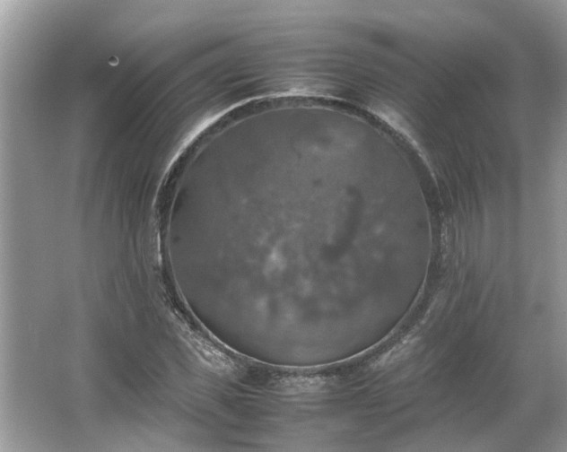 X0000063460925200601231414