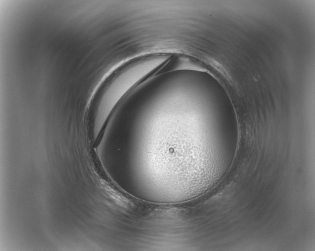 X0000063460926200601231414