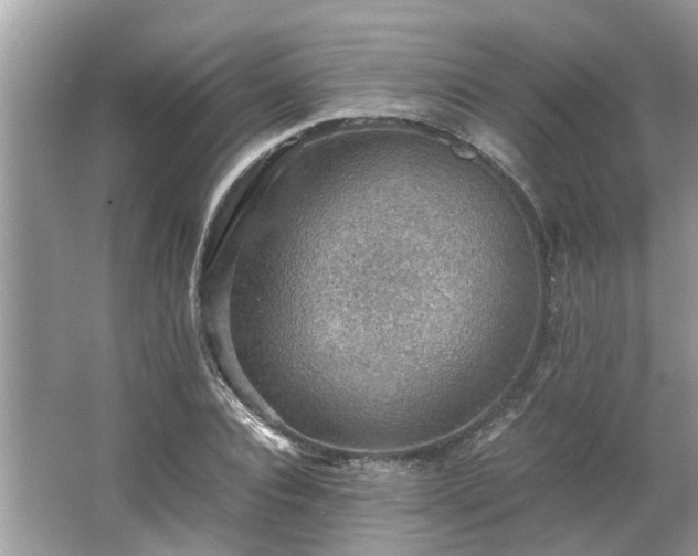 X0000063460928200601231414