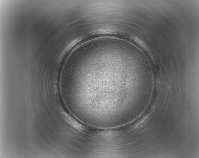 X0000063460930200601231414