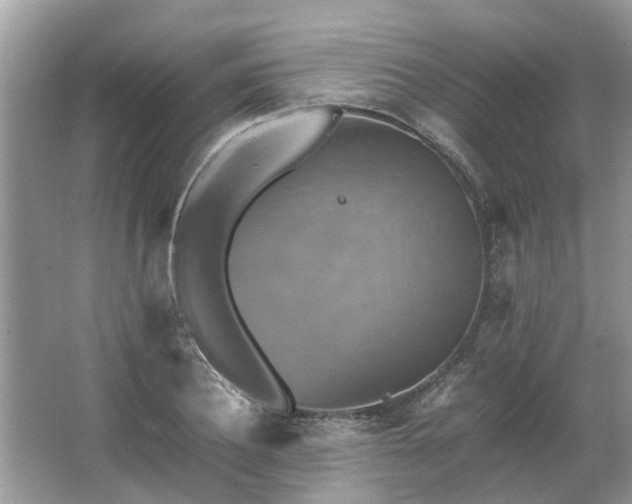 X0000063460932200601231414