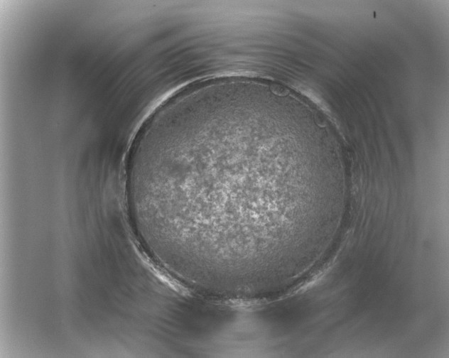 X0000063460933200601231414