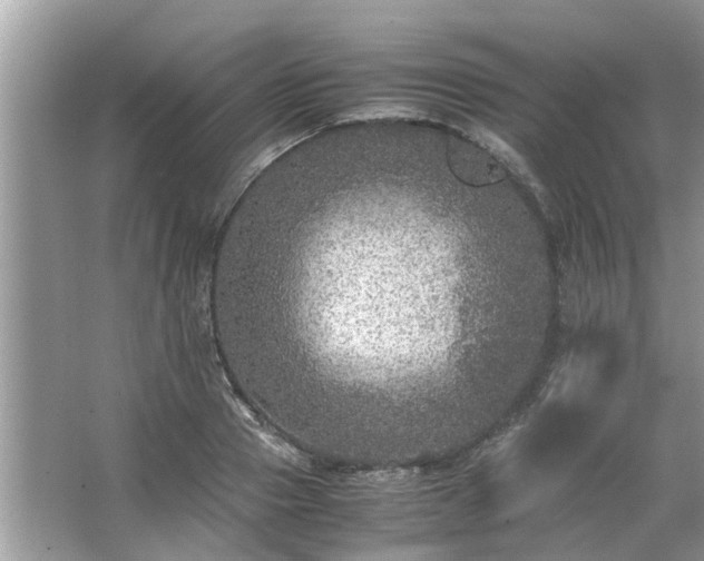 X0000063460937200601231414