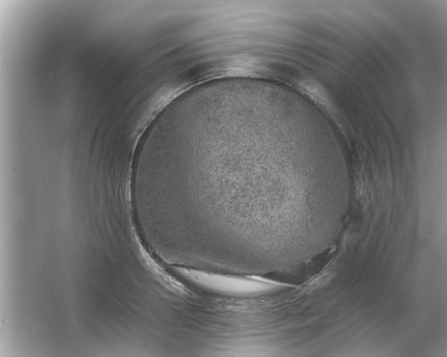 X0000063460938200601231414