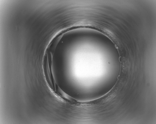 X0000063460942200601231414