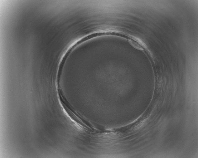 X0000063460943200601231414