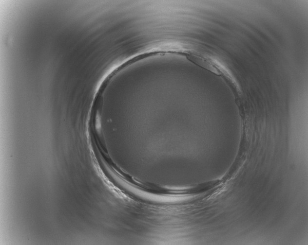 X0000063460944200601231414