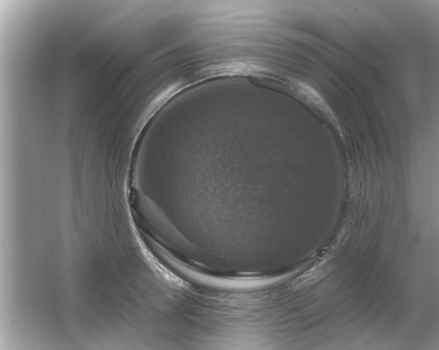 X0000063460946200601231414