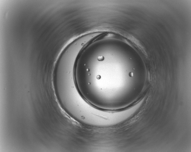 X0000063460950200601231415