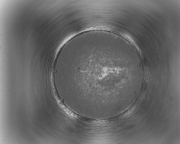 X0000063460952200601231415