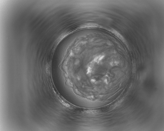 X0000063460953200601231415