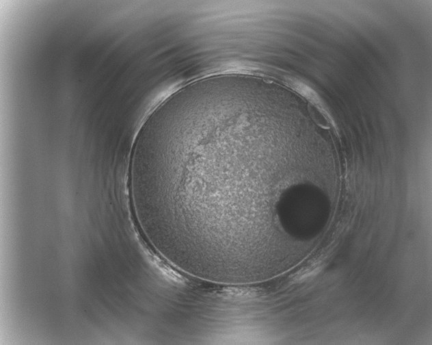 X0000063460954200601231415