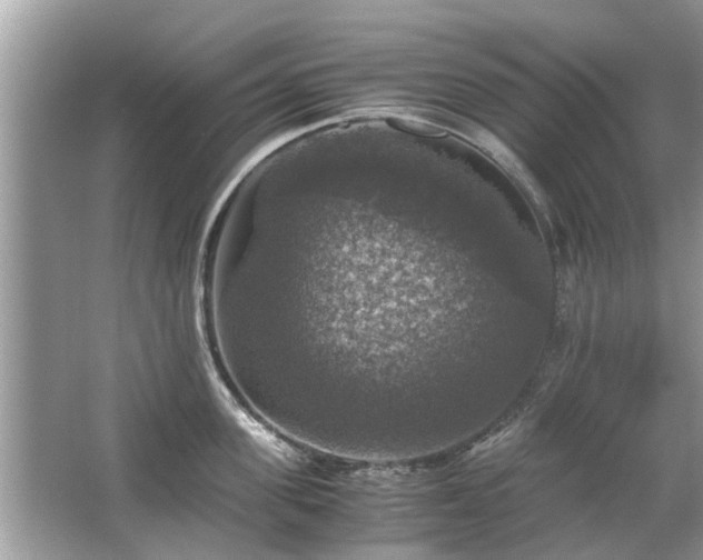 X0000063460955200601231415