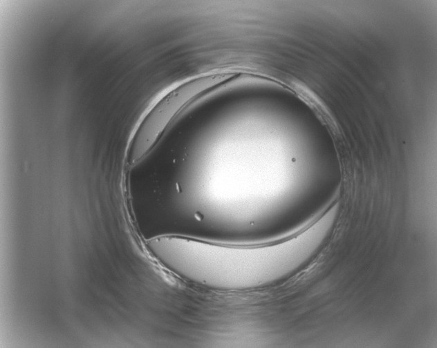 X0000063460956200601231415