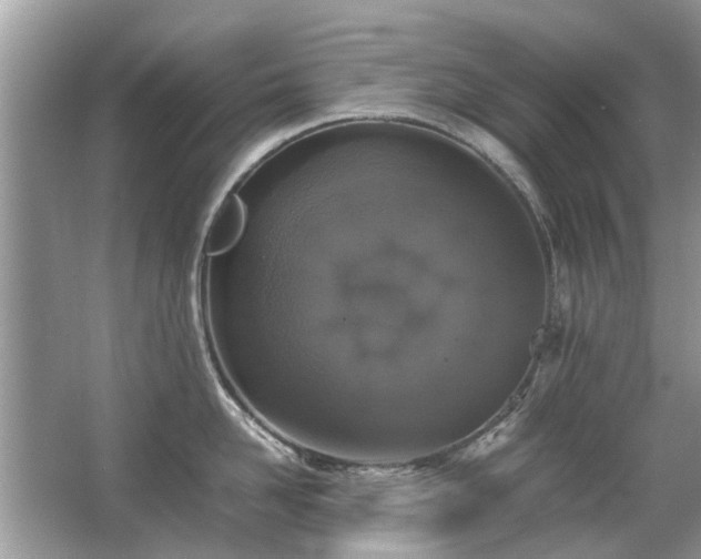 X0000063460958200601231415