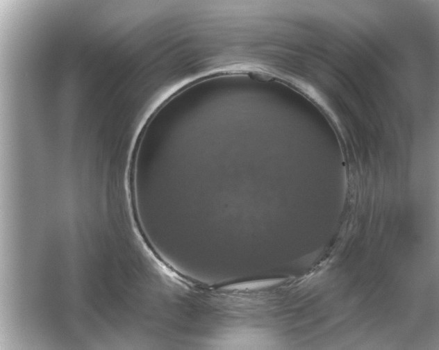 X0000063460959200601231415