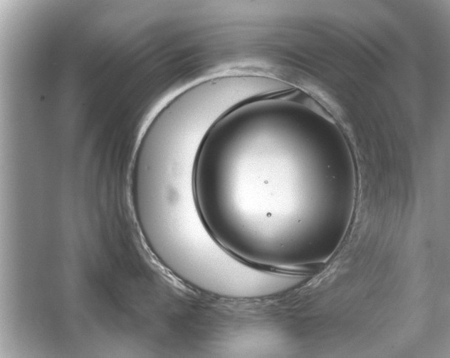 X0000063460960200601231415