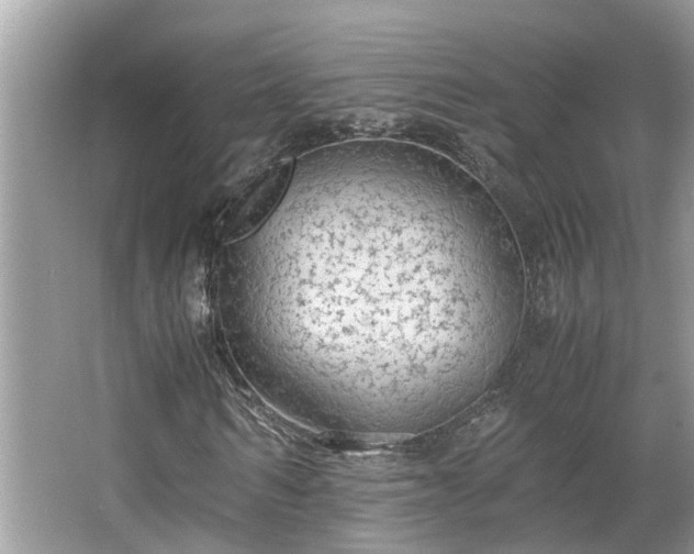 X0000063460962200601231414