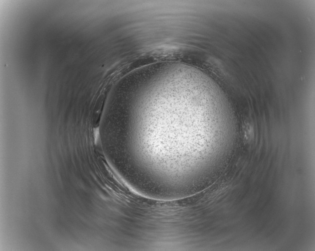 X0000063460964200601231414