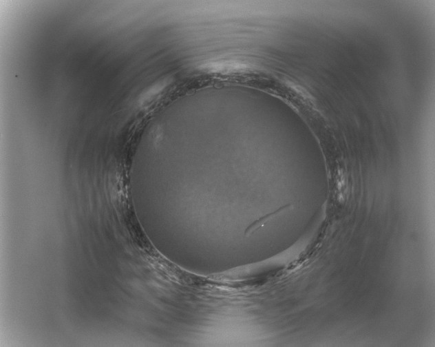 X0000063460966200601231414