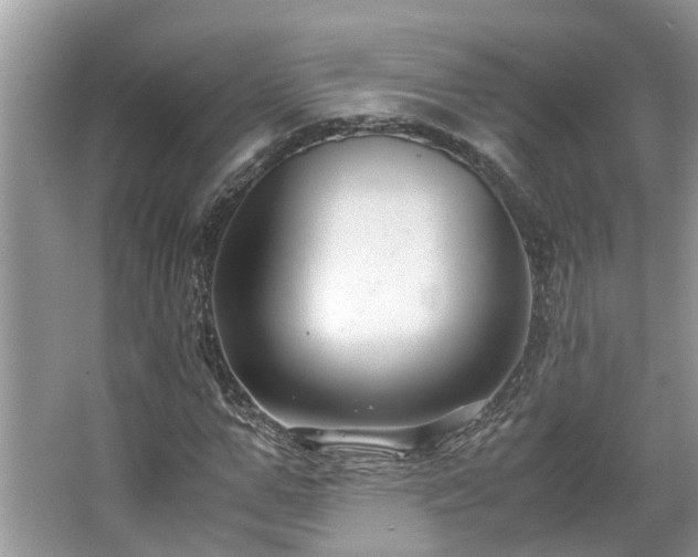 X0000063460967200601231414