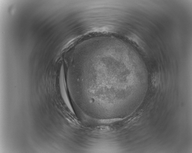 X0000063460968200601231414