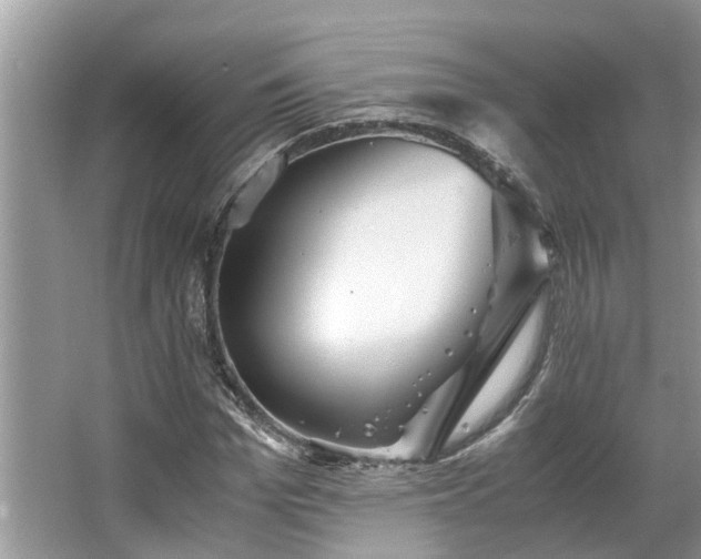 X0000063460969200601231414