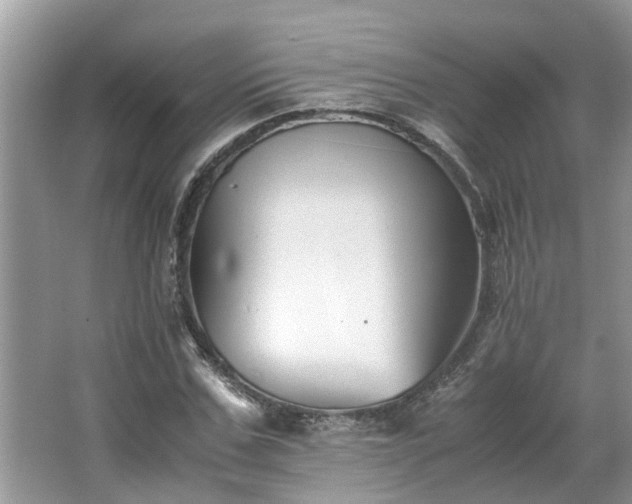 X0000063460971200601231414