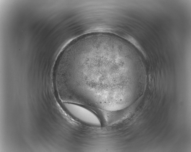 X0000063460972200601231414