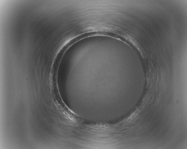 X0000063460975200601231414