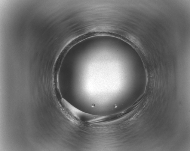 X0000063460976200601231414