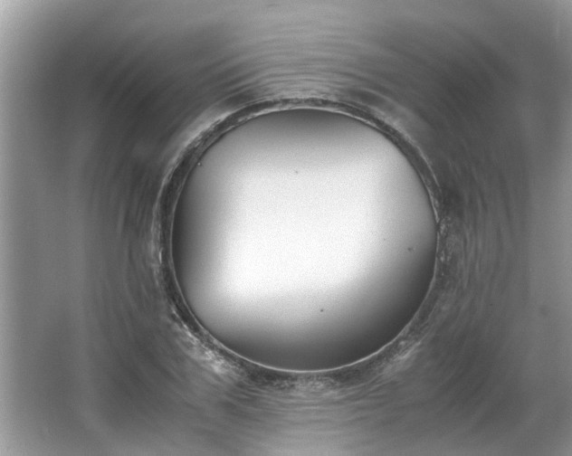 X0000063460979200601231414