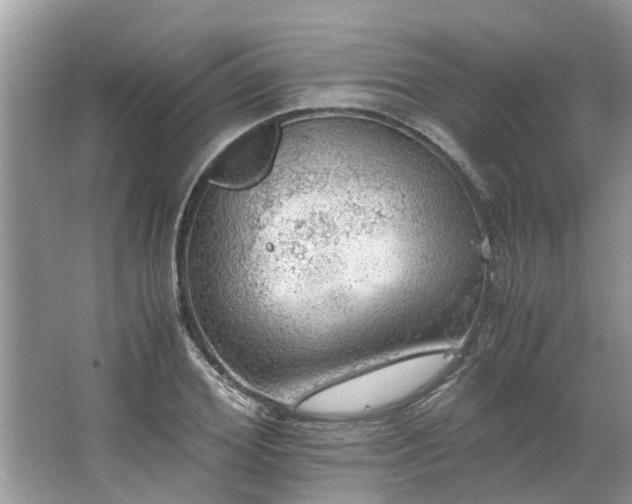 X0000063460980200601231414