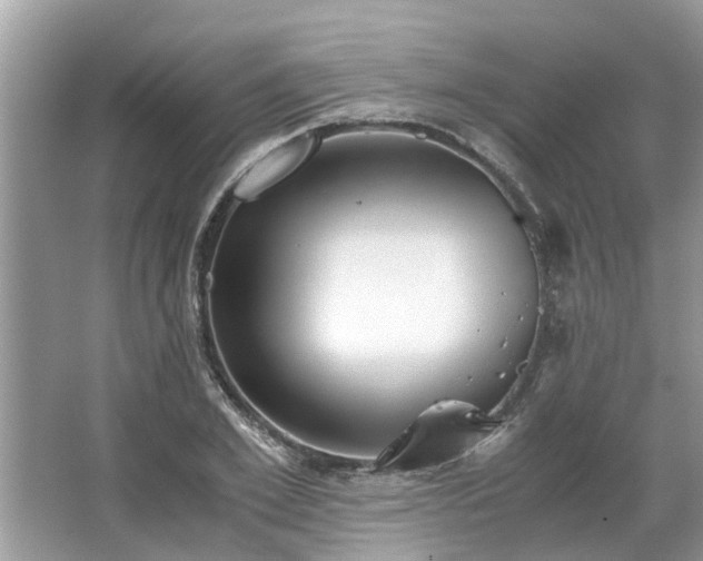 X0000063460981200601231414