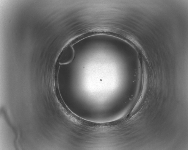 X0000063460984200601231414