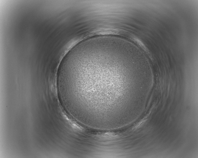 X0000063460986200601231413