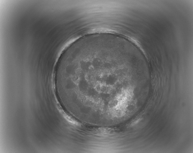 X0000063460987200601231413