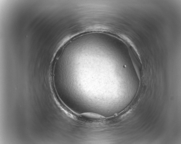 X0000063460989200601231413