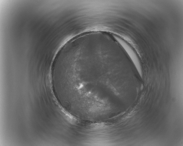 X0000063460990200601231413