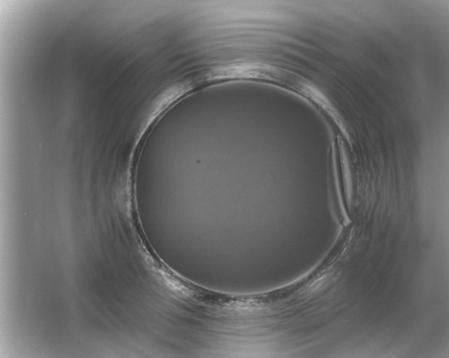 X0000063460994200601231413